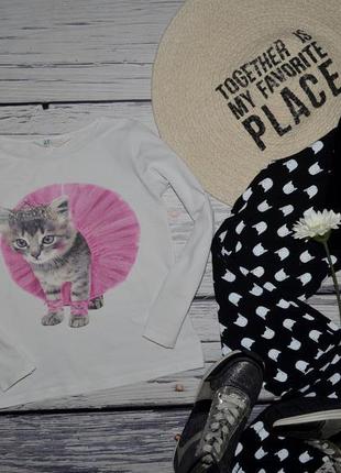 4 - 6 років 116 см h&m реглан кофта кофточка для модниці 3д кішечка котик