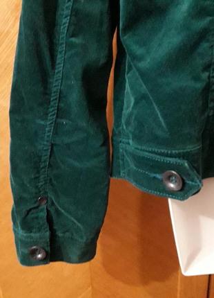 Брендовий бархатний бавовняний жакет , піджак  р.38 від lerros9 фото