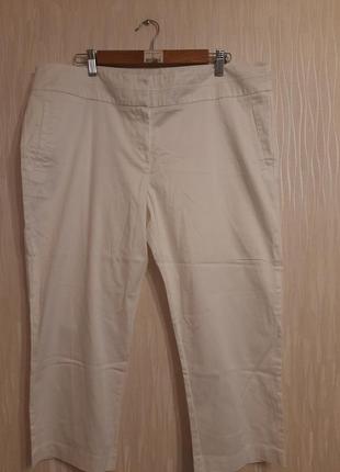 Бріджі  штани 18/46
