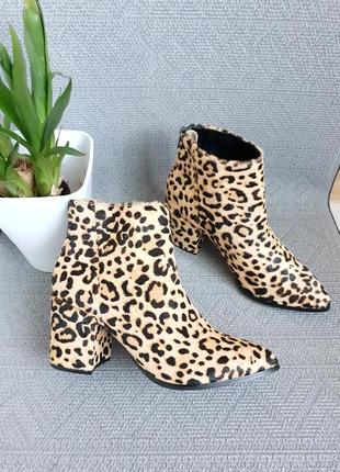 Сапожки леопардовые steve madden,сша 37размер