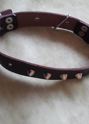 Кожанный ошейник для собаки