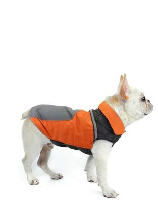 Жилет,попона на флісі для собак