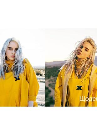 Щоденник шкільний біллі айліш billie eilish (dn_008)
