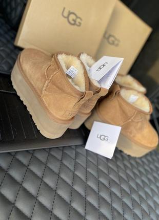 Ugg  угги на платформе ugg ultra mini platform5 фото