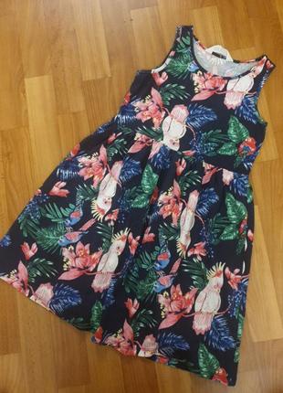 Сукня,  платье h&m, next, zara, primark, george