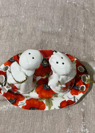 Набор солонка и перечница