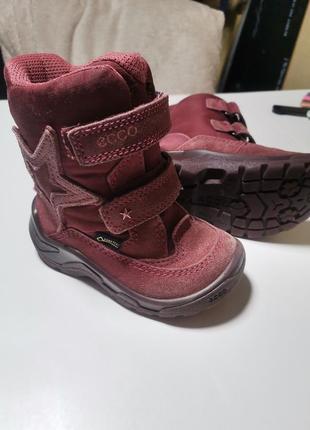 Чоботи дитячі зимові ecco сапоги детские зимние