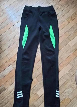 Спортивні штани