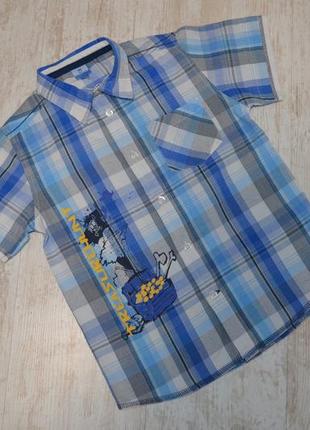 Теніска з піратом на 6 років