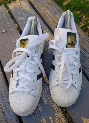 Кроссовки кеды женские adidas superstar k c77154