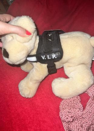 Шлейка на малу собаку