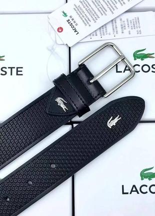 Чоловічий ремінь lacoste в подарунковому наборі