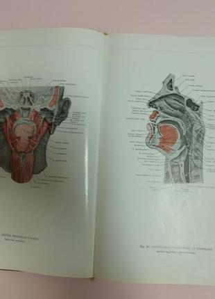 Анатомический атлас человеческого тела3 фото