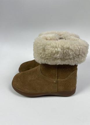 Сапоги ugg australia3 фото