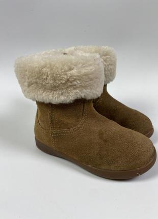 Сапоги ugg australia1 фото