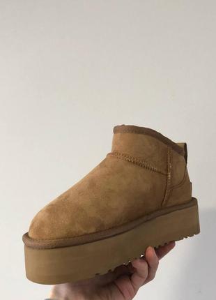 Угги ugg ultra mini platform chestnut10 фото