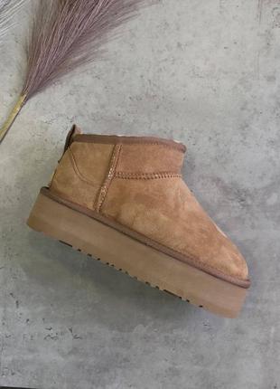 Угги ugg ultra mini platform chestnut2 фото