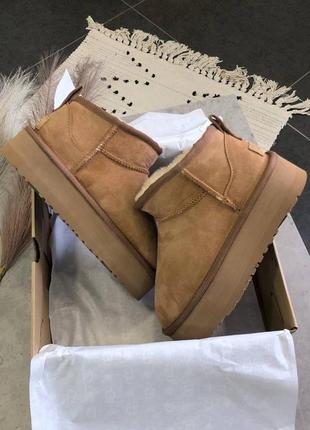 Угги ugg ultra mini platform chestnut3 фото