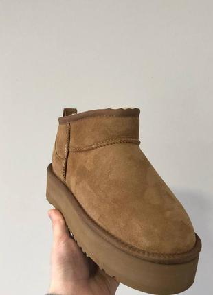 Угги ugg ultra mini platform chestnut6 фото