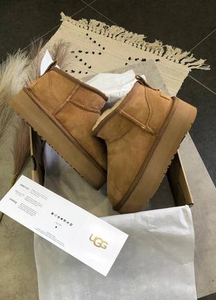 Угги ugg ultra mini platform chestnut9 фото