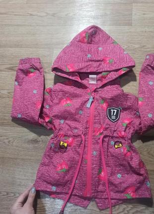 Ве ровеа парка весна осень 2-3 года