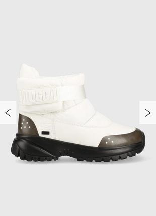 Чоботи ugg черевики