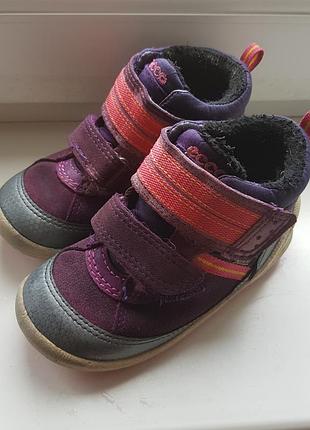 Зимові термочеревички ecco biom