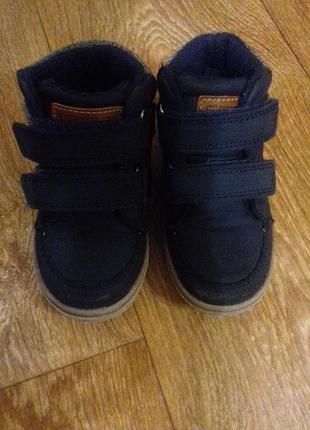 Чоботи демі next