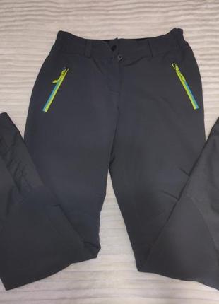 Спортивні штани crane