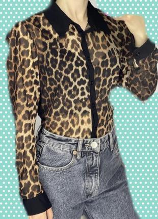 Блуза у леопардовый принт.6 фото