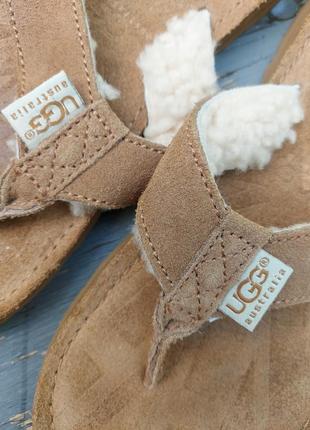 Жіночі шльопанці в'єтнамки сланці ugg tasmina chestnut suede flip flops5 фото