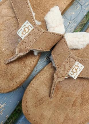 Жіночі шльопанці в'єтнамки сланці ugg tasmina chestnut suede flip flops4 фото