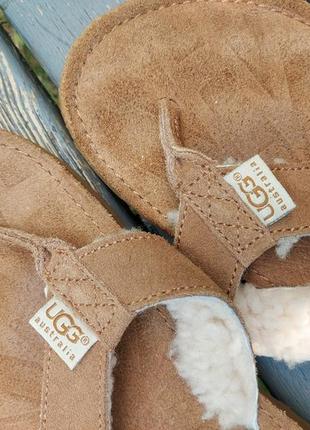 Жіночі шльопанці в'єтнамки сланці ugg tasmina chestnut suede flip flops6 фото