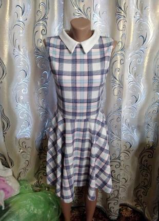 Стильне плаття в клітинку з комірцем quiz