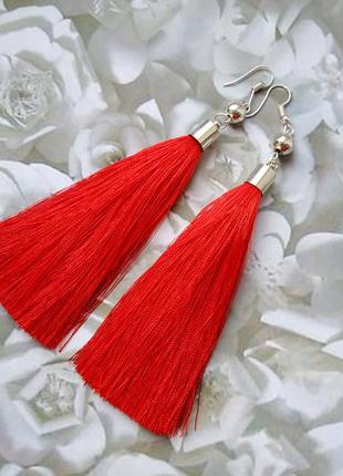 Сережки пензлика