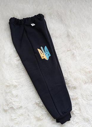 Патріотичні зимові штани з тризубом