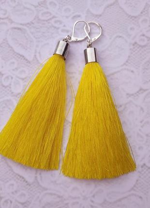 Сережки пензлика