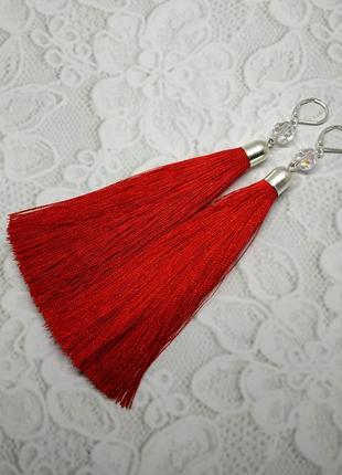 Сережки пензлика