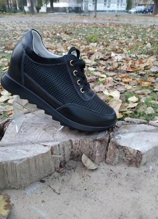 Кроссовки женские черного цвета allshoes перфорированная кожа на шнуровке на скрытой платформе