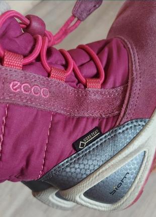 Кожаные ботинки ecco biom gore-tex 25 р ботинки оригинал6 фото