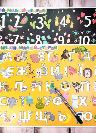Багаторазовий навчальний плакат, розмальовка для дівчинки "вивчай-малюй-стирай": абетка та цифри1 фото