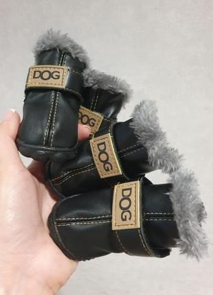 Взуття черевики для собаки/кішки чорні утеплені4 фото
