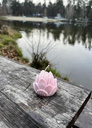 Соевая свеча лотос розовая