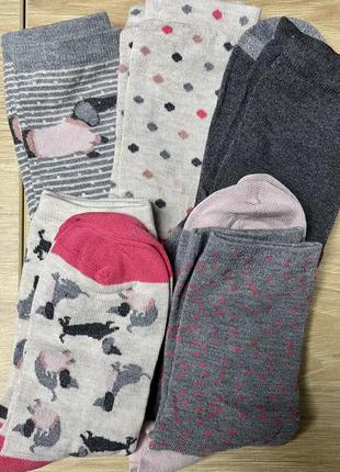 Набір жіночих шкарпеток носки2 фото