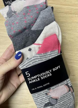 Набор женских носков носки