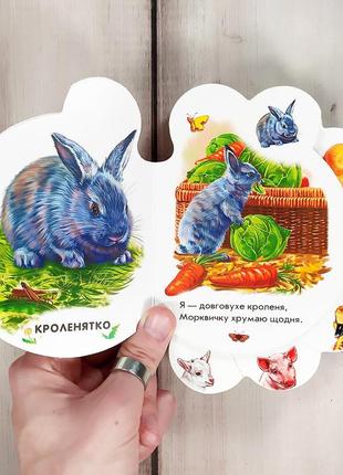 Дитяча книжка-картонка "малята на подвір'ї" тварини3 фото