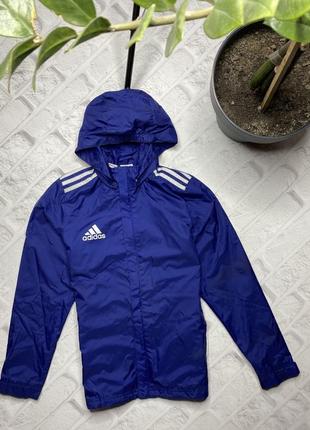 Вітровка adidas original