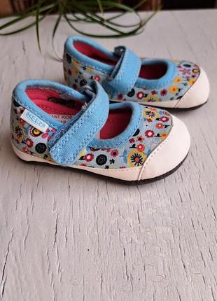 Пінеткі keen