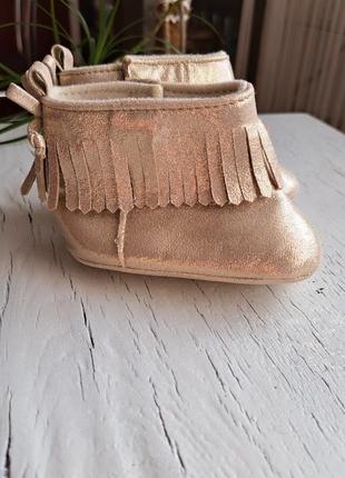 Пінеткі  rising star