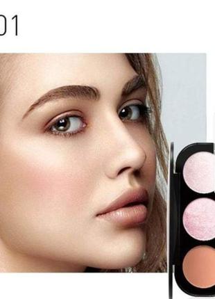 Палетка румян и хайлайтеров для лица focallure blush & highlight makeup palette 01 rose fairy, 10.5 г2 фото